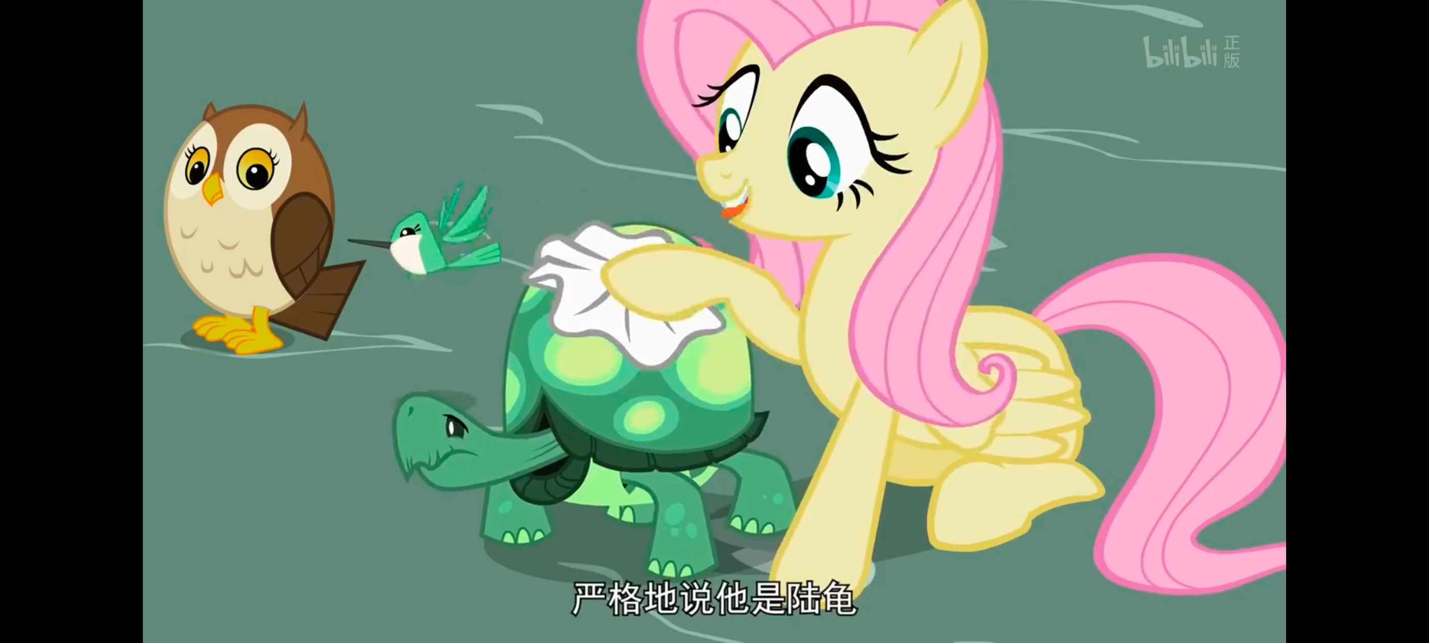 小马宝莉,彩虹小马,我的小马驹,动画,动漫,番剧,二次元,ACG