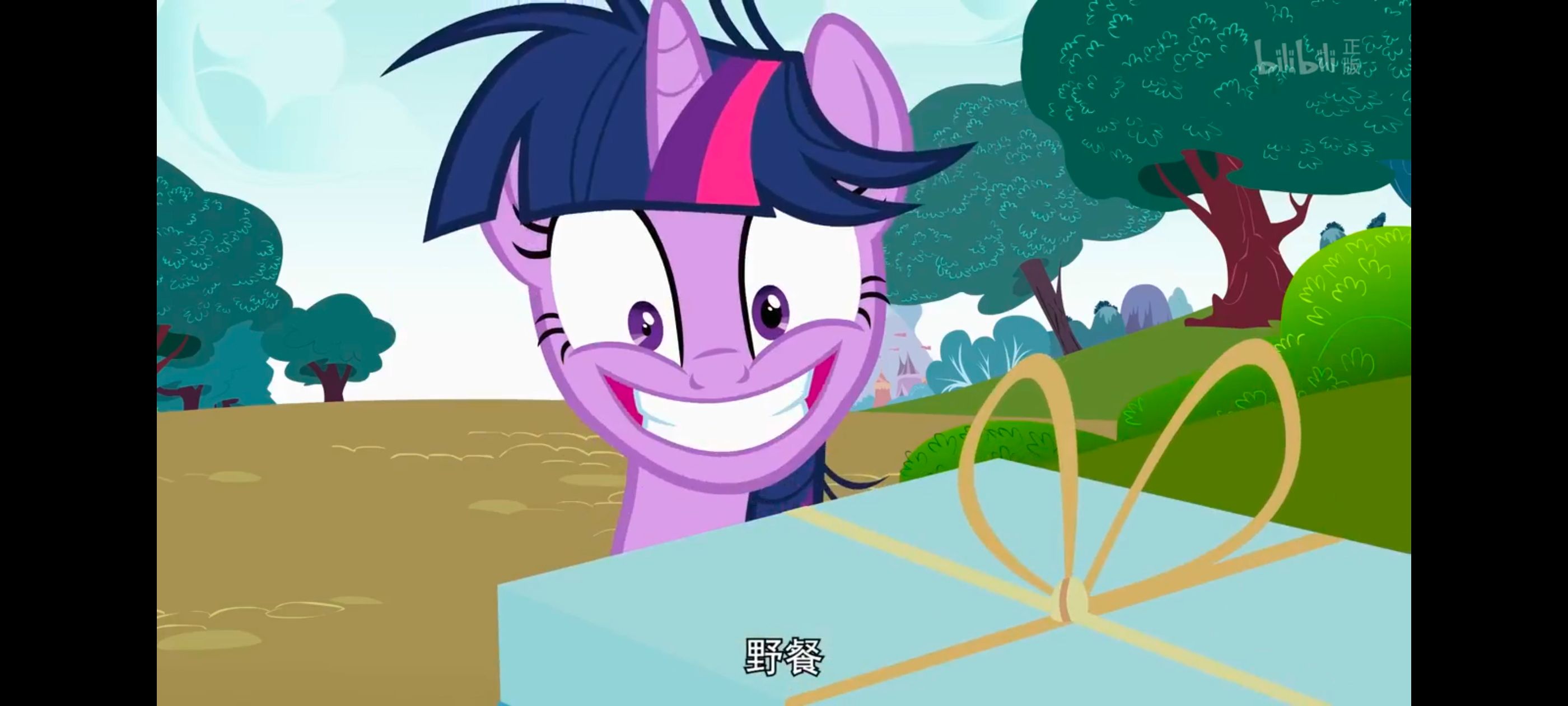 小马宝莉,小马宝莉友谊魔法,彩虹小马,我的小马驹,动画,动漫,番剧,ACG