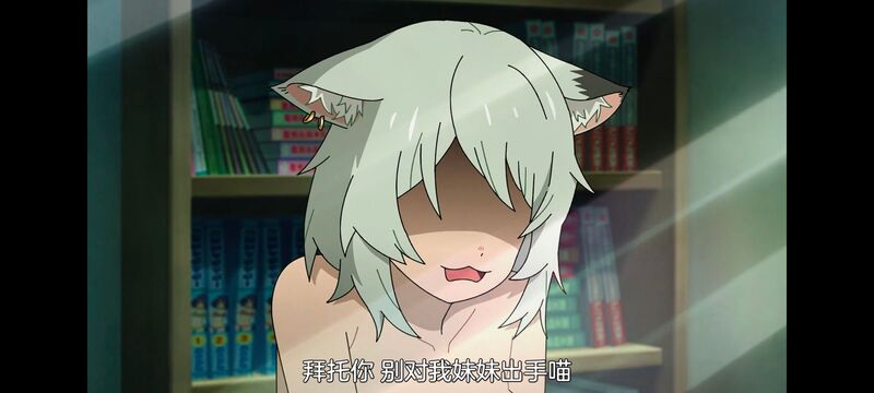 尼古喵喵,雅尼猫,动画,动漫,番剧,二次元,日漫,ACG