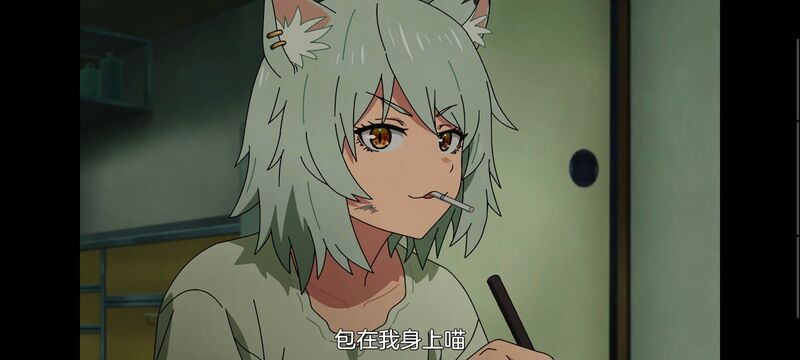 尼古喵喵,雅尼猫,动画,动漫,番剧,二次元,日漫,ACG
