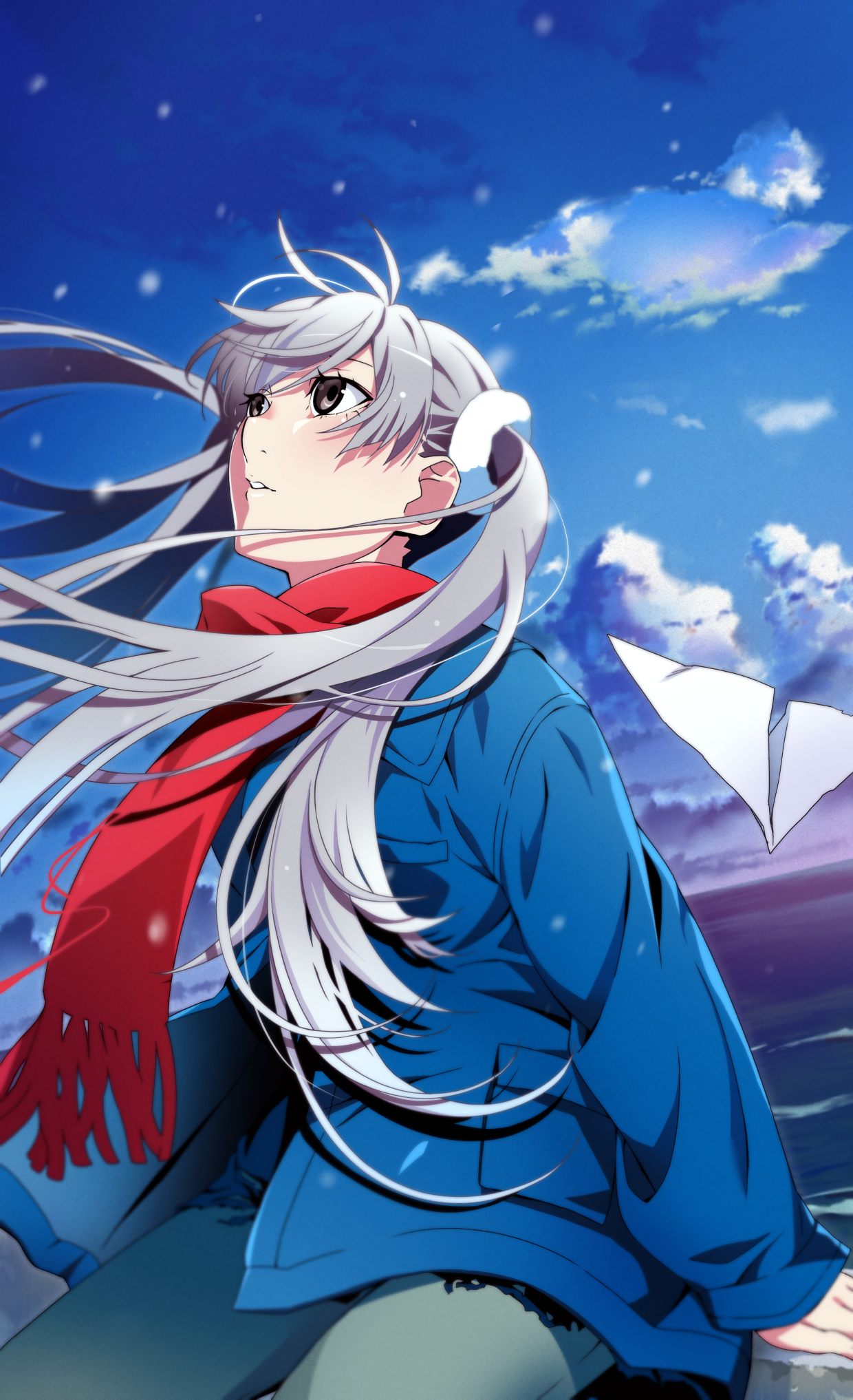 美图,物语系列,动漫