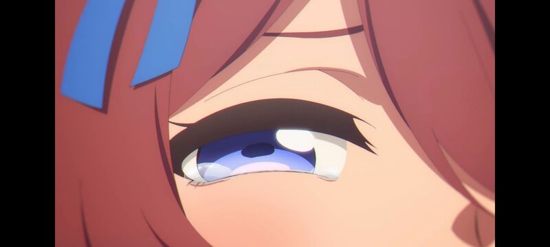 赛马娘,赛马娘PrettyDreby,芦毛灰姑娘,赛马娘芦毛灰姑娘,动画,动漫,番剧,ACG