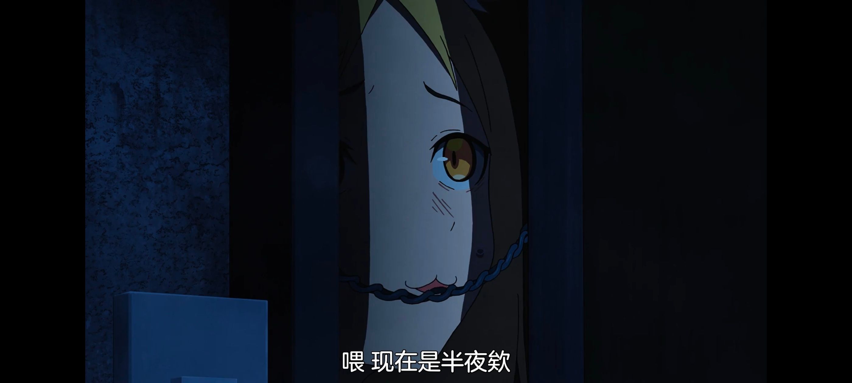 尼古喵喵,雅尼猫,动画,动漫,番剧,二次元,日漫,ACG