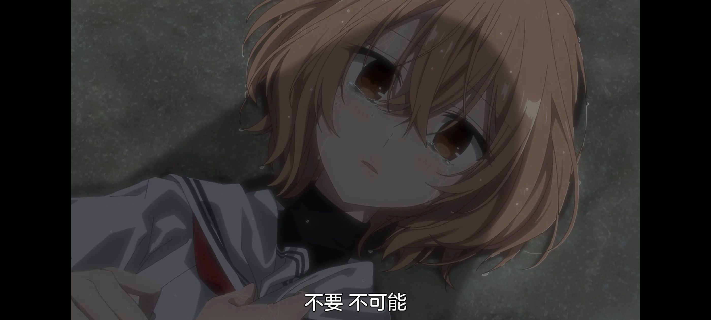 想吃掉我的非人少女,对我垂涎欲滴的非人少女,动画,动漫,百合,百合动漫,番剧,ACG