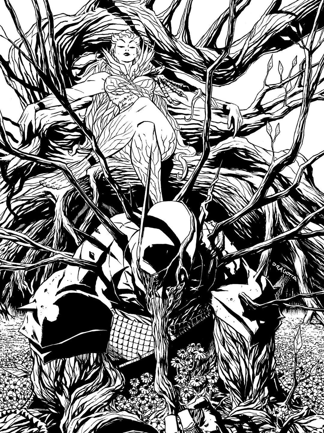 DC,DC漫画,美漫,漫画,动漫,绝对宇宙,绝对蝙蝠侠,毒藤女,蝙蝠侠,绘画