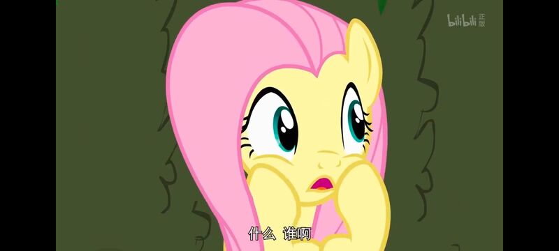 小马宝莉,小马宝莉友谊魔法,彩虹小马,我的小马驹,动画,动漫,番剧,ACG