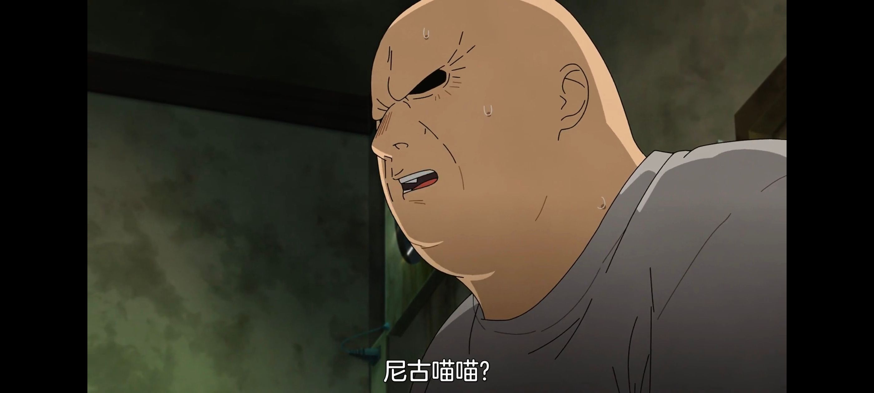 尼古喵喵,雅尼猫,动画,动漫,番剧,二次元,日漫,ACG