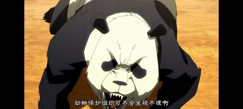 咒术回战,咒术回战死灭回游,动画,动漫,番剧,ACG