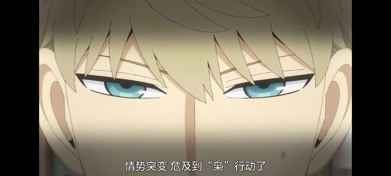 间谍过家家,SPYFAMILY,动画,动漫,番剧,ACG