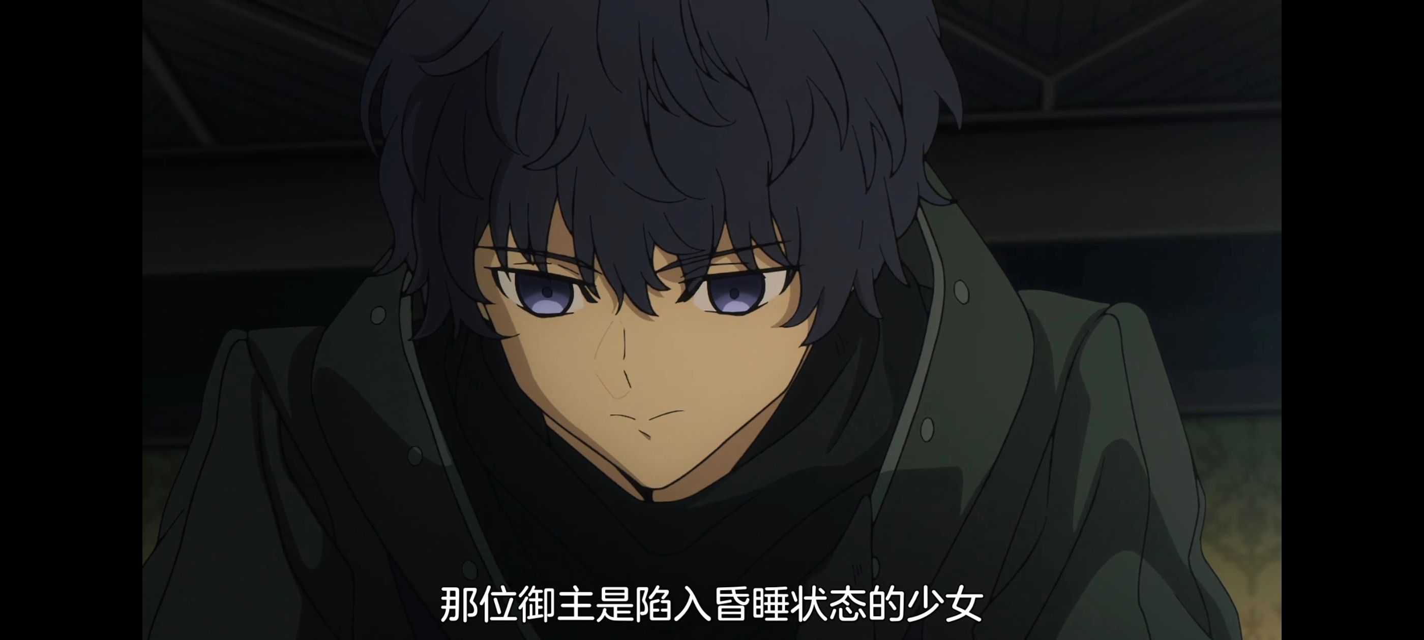 命运奇异赝品,FatestrangeFake,FATE,动画,动漫,番剧,二次元,ACG