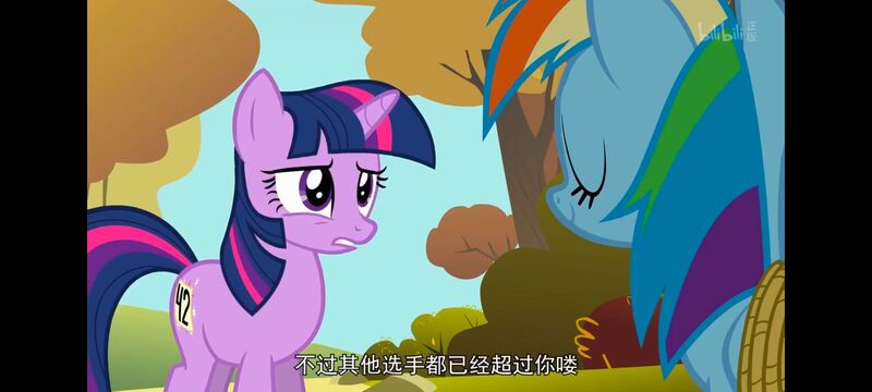 小马宝莉,小马宝莉友谊魔法,彩虹小马,我的小马驹,动画,动漫,番剧,ACG