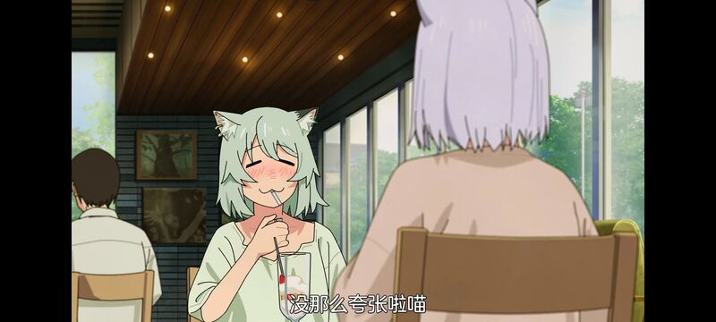 雅尼猫,尼古喵喵,动画,动漫,番剧,二次元,日漫,ACG