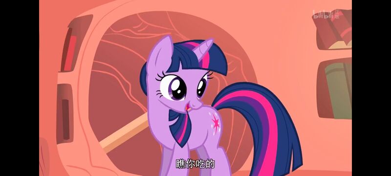 小马宝莉,彩虹小马,我的小马驹,动画,动漫,番剧,ACG,小马宝莉友谊魔法