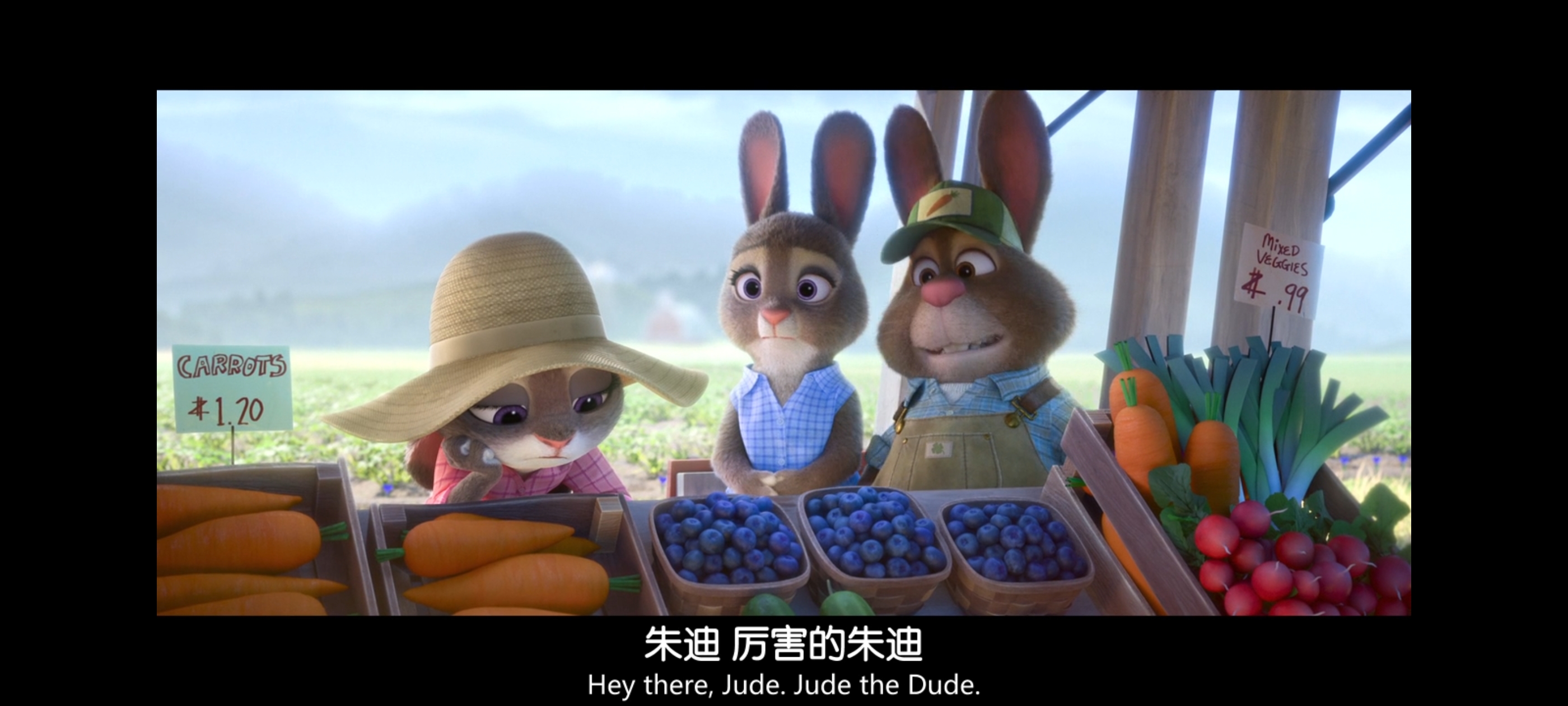 疯狂动物城,动画电影,动漫,动画,电影,二次元,ACG