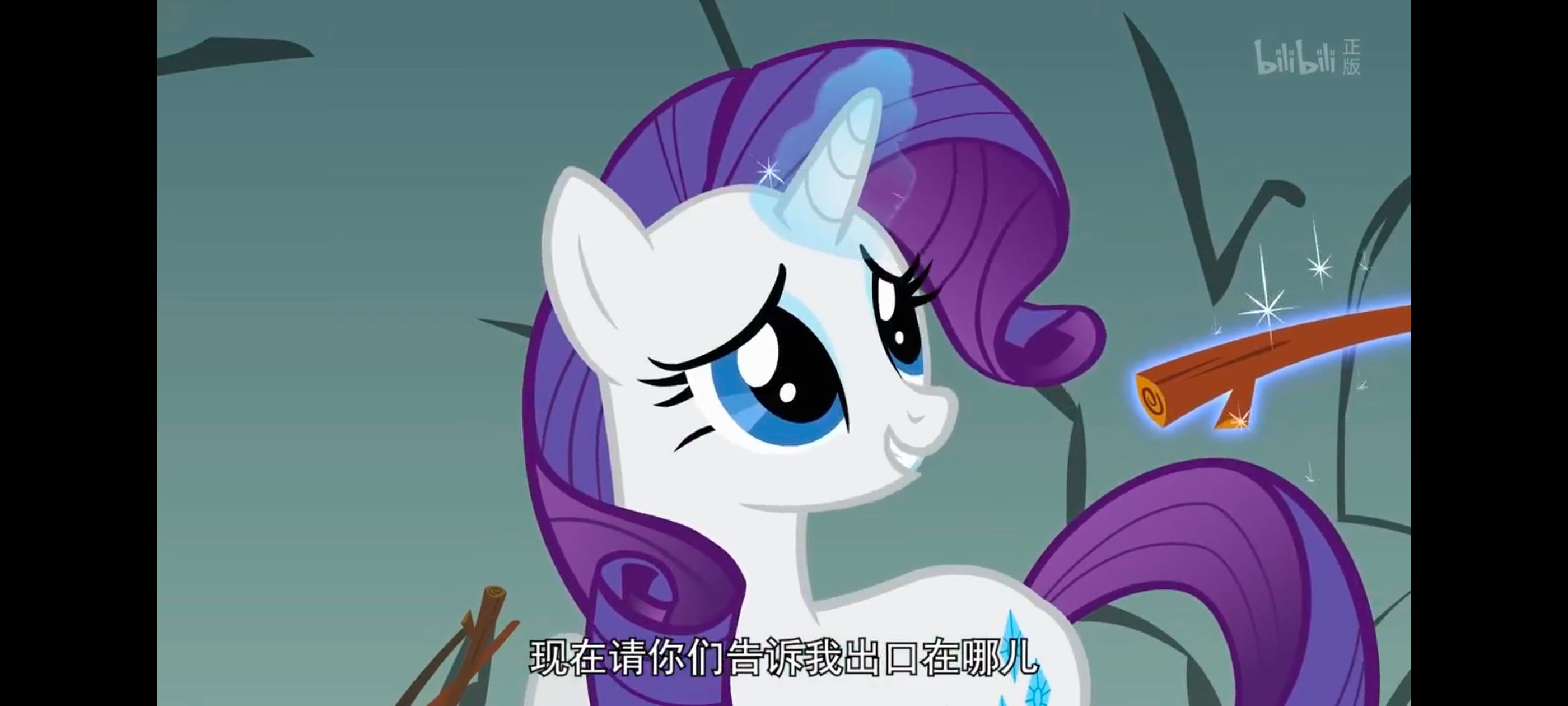 彩虹小马,小马宝莉,我的小马驹,小马宝莉友谊魔法,动画,动漫,番剧,ACG