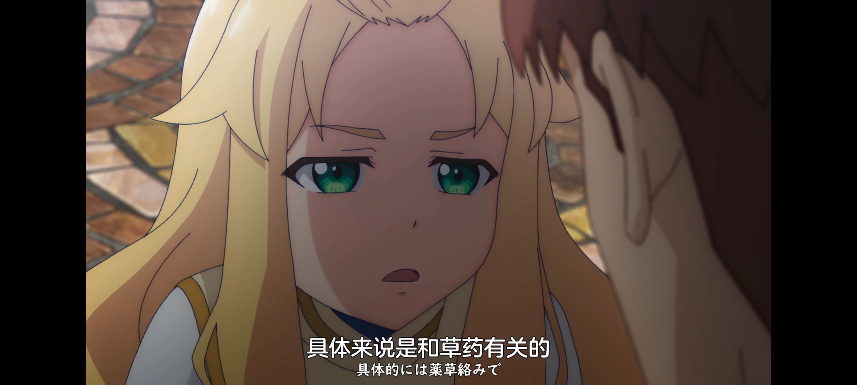 凭你也想讨伐魔王,你这种家伙别想打败魔王,动画,动漫,番剧,ACG