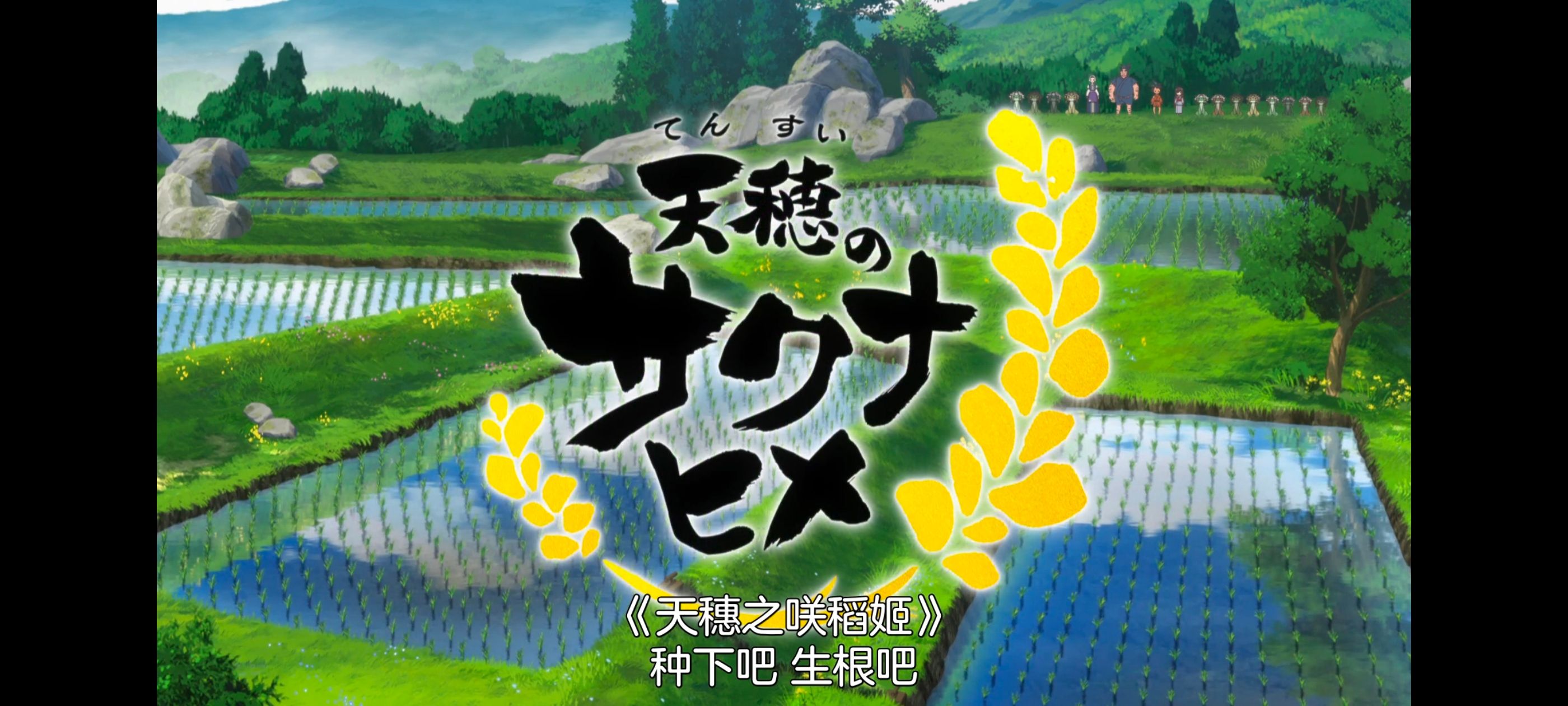 天穗之咲稻姬,心轮的稻作日记,动画,动漫,番剧,二次元,ACG