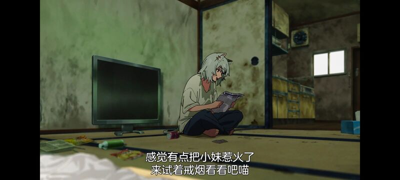 雅尼猫,尼古喵喵,动画,动漫,番剧,二次元,日漫,ACG
