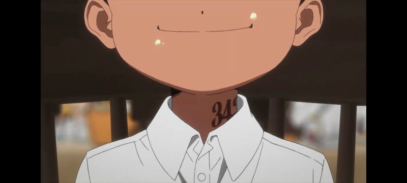 约定的梦幻岛,动画,动漫,番剧,ACG