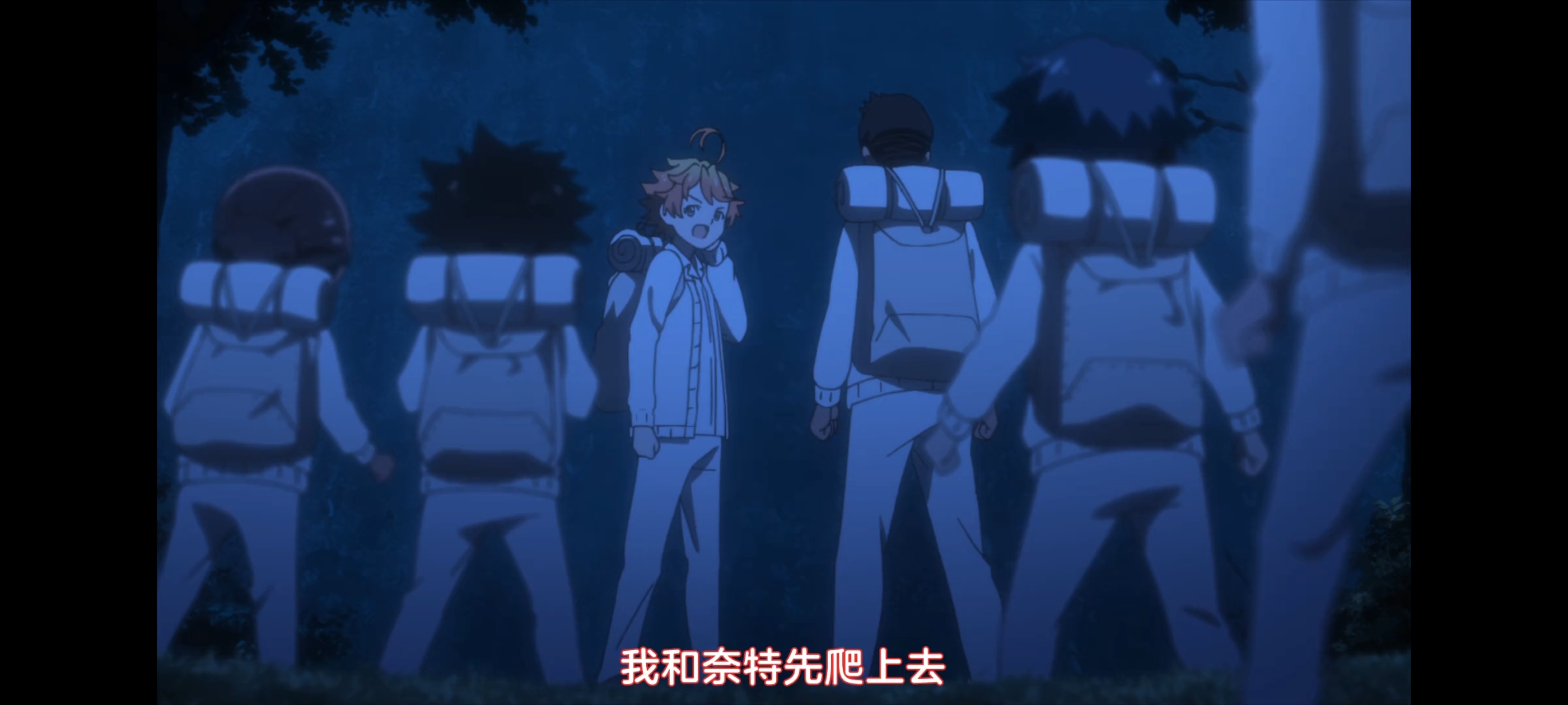 约定的梦幻岛,动画,动漫,番剧,二次元,ACG