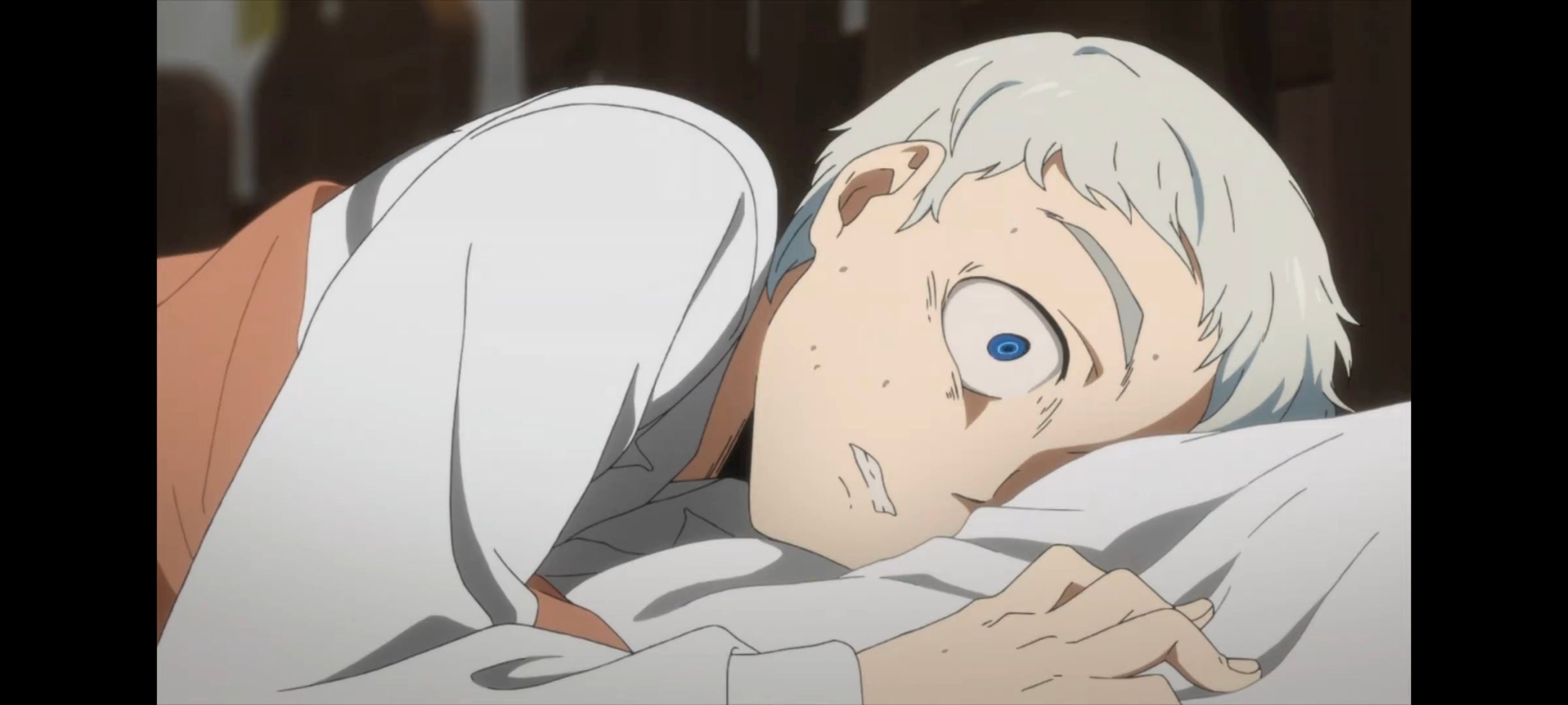 约定的梦幻岛,动画,动漫,番剧,ACG