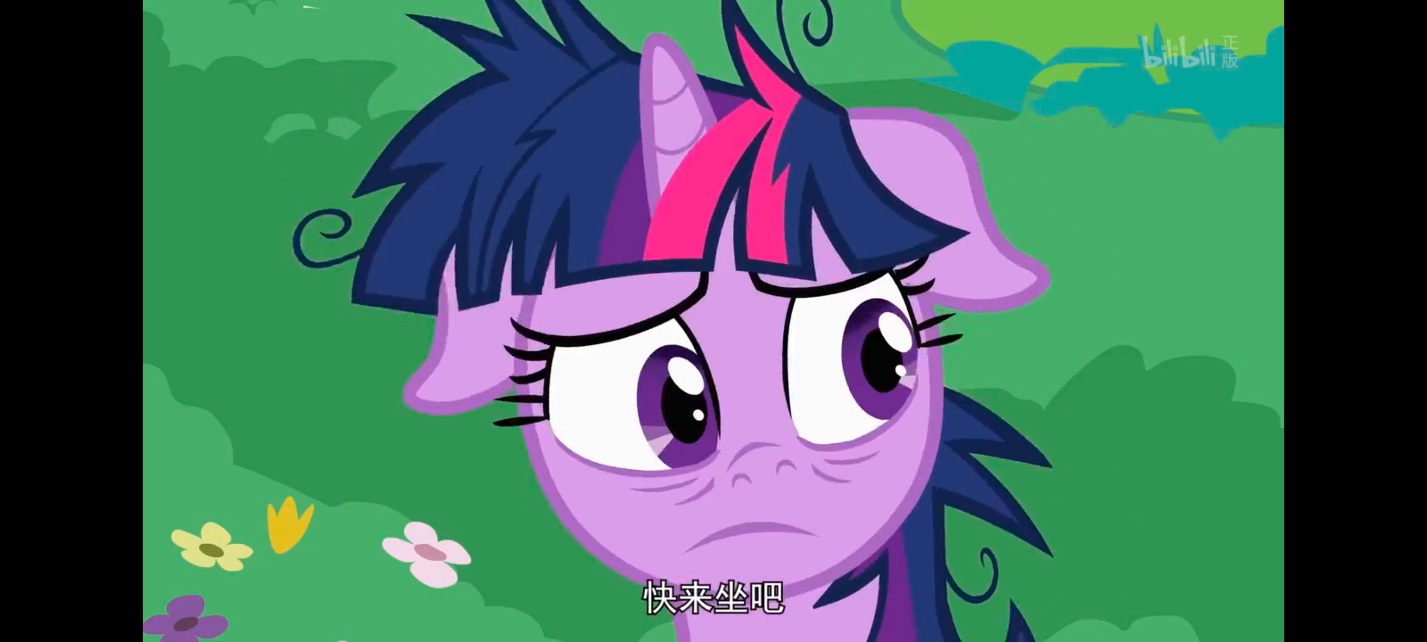 小马宝莉,小马宝莉友谊魔法,彩虹小马,我的小马驹,动画,动漫,番剧,ACG