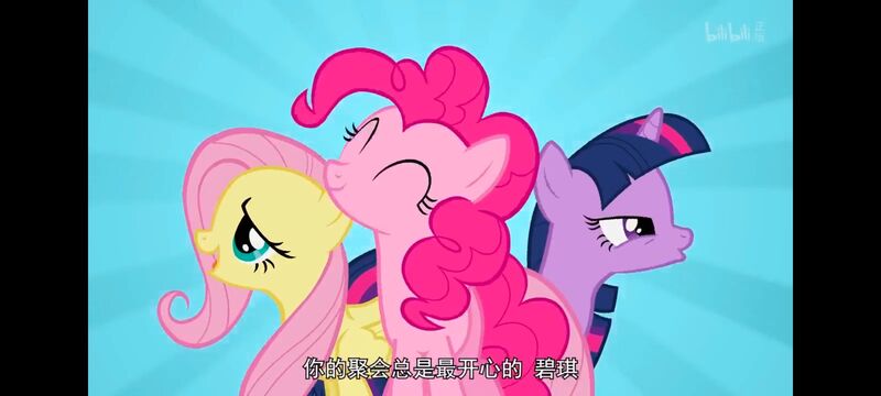 小马宝莉,小马宝莉友谊魔法,彩虹小马,我的小马驹,动画,动漫,番剧,ACG