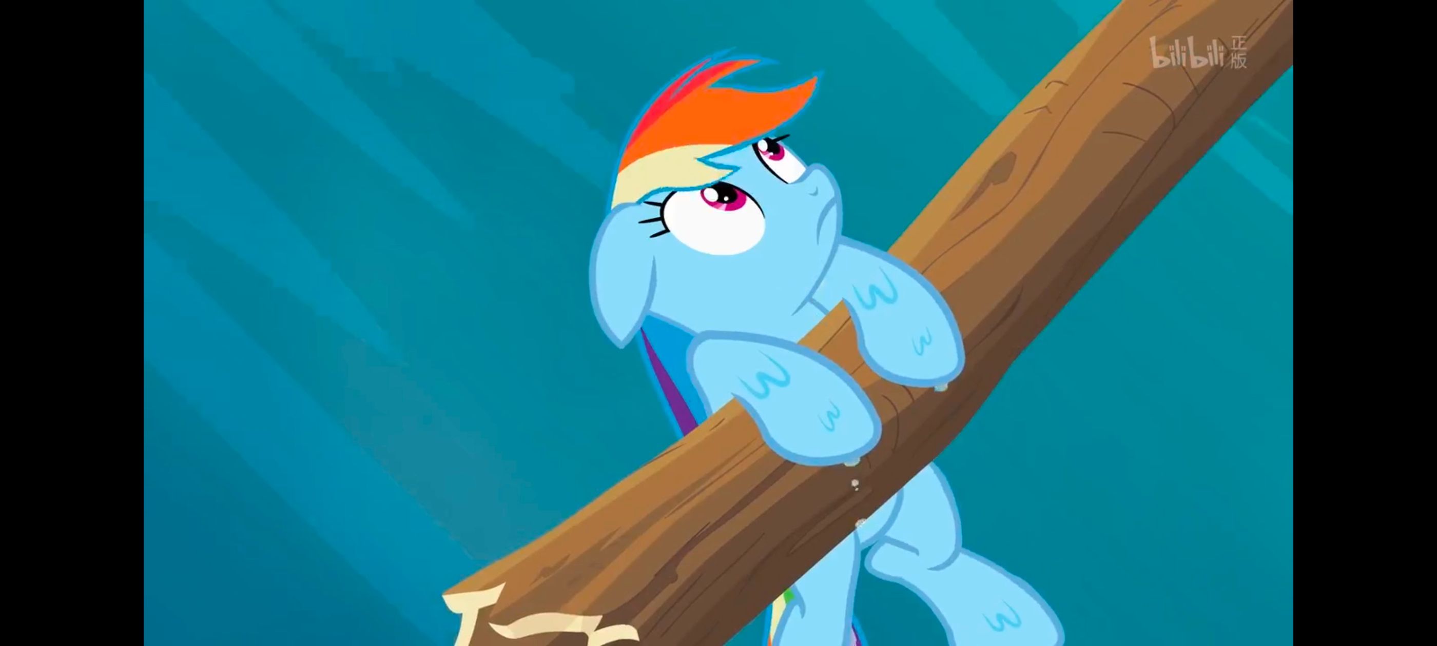 小马宝莉,彩虹小马,我的小马驹,动画,动漫,番剧,ACG