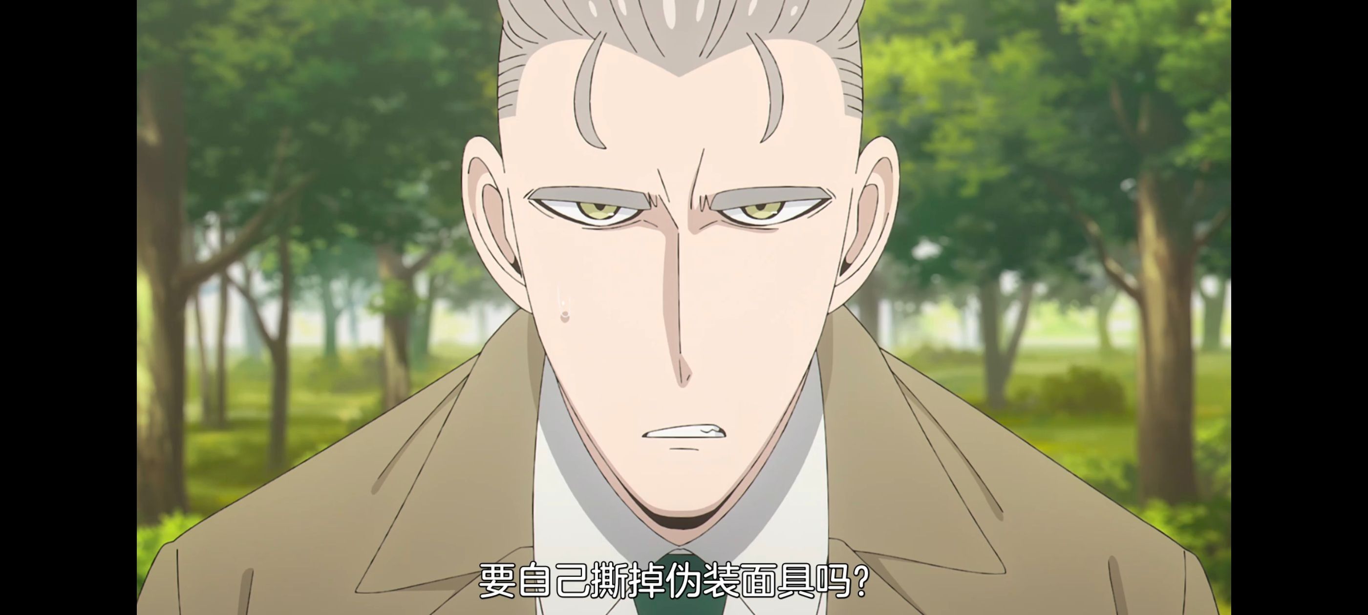 间谍过家家,SPYFAMILY,动画,动漫,番剧,ACG