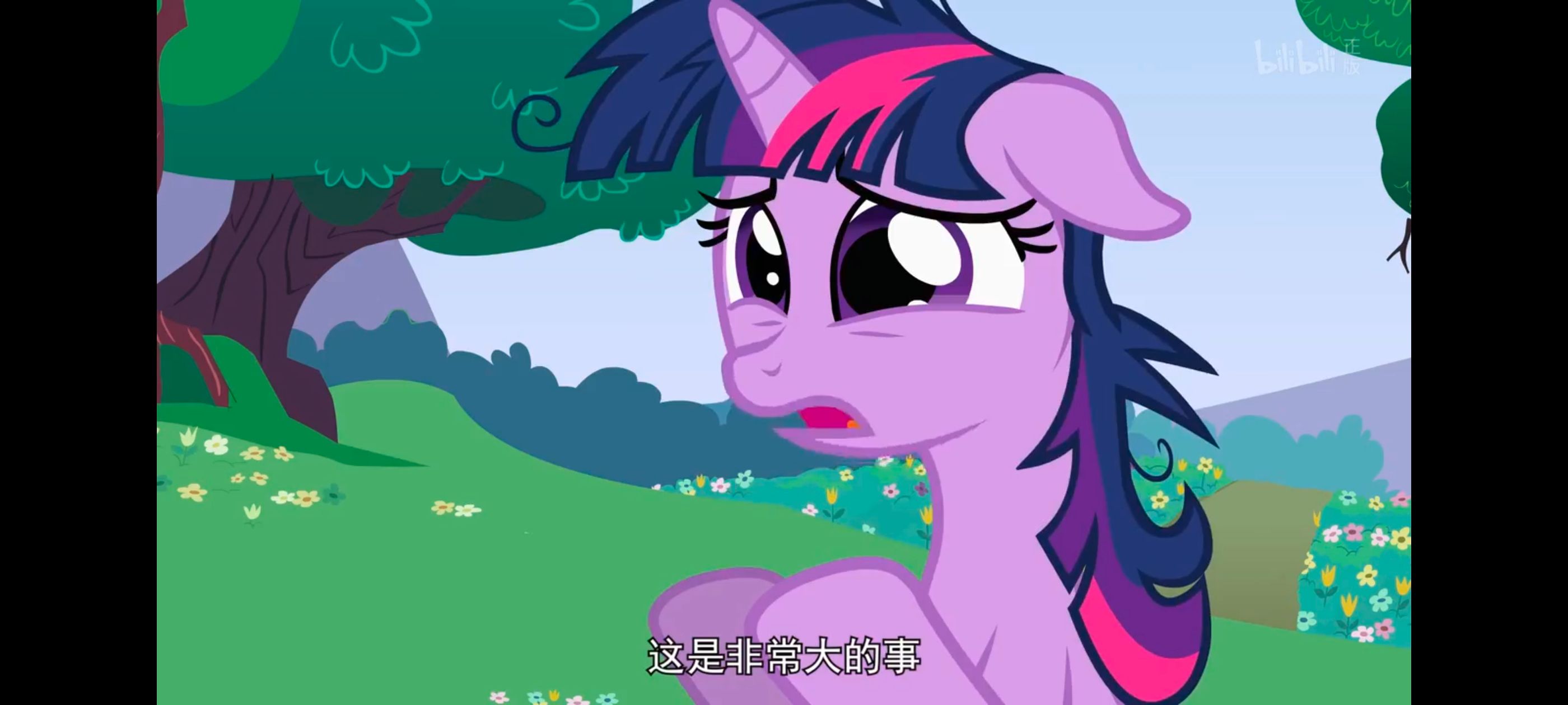 小马宝莉,小马宝莉友谊魔法,彩虹小马,我的小马驹,动画,动漫,番剧,ACG