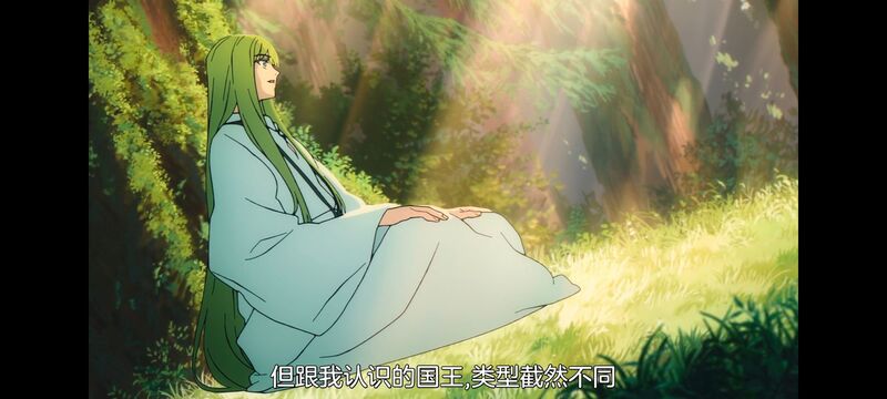 命运奇异赝品,FatestrangeFake,动画,动漫,番剧,ACG