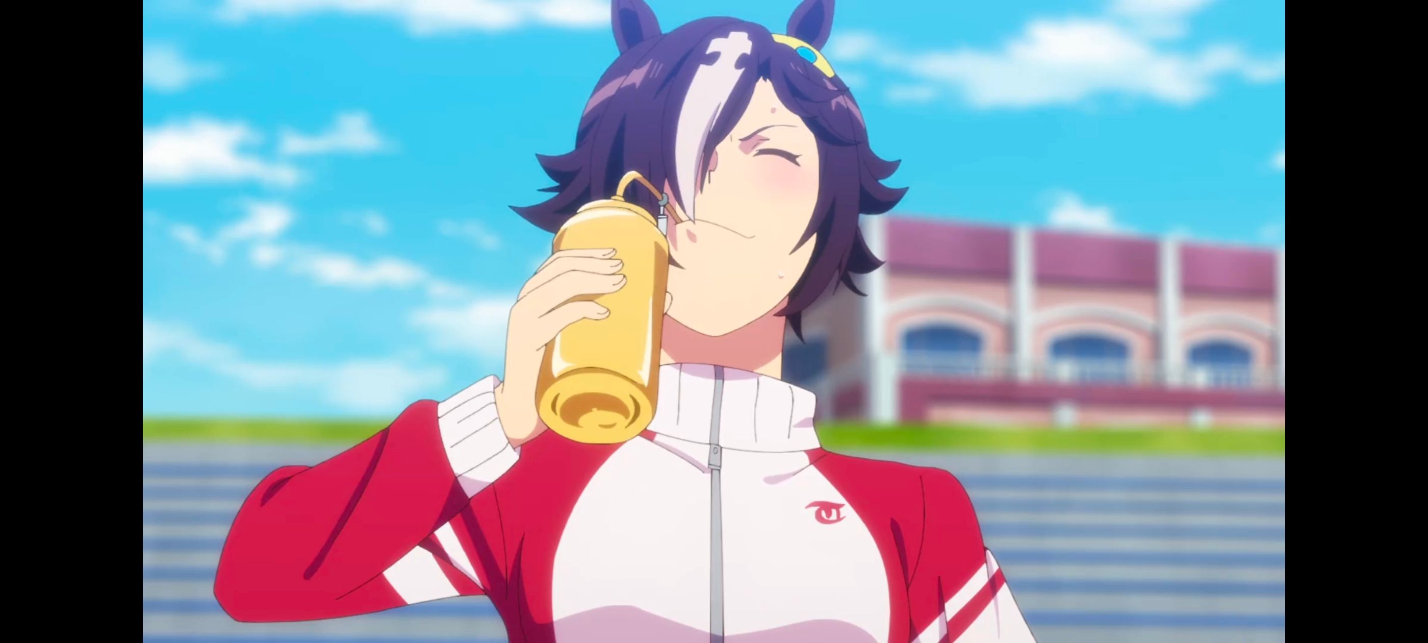 赛马娘,赛马娘PrettyDreby,动画,动漫,番剧,ACG