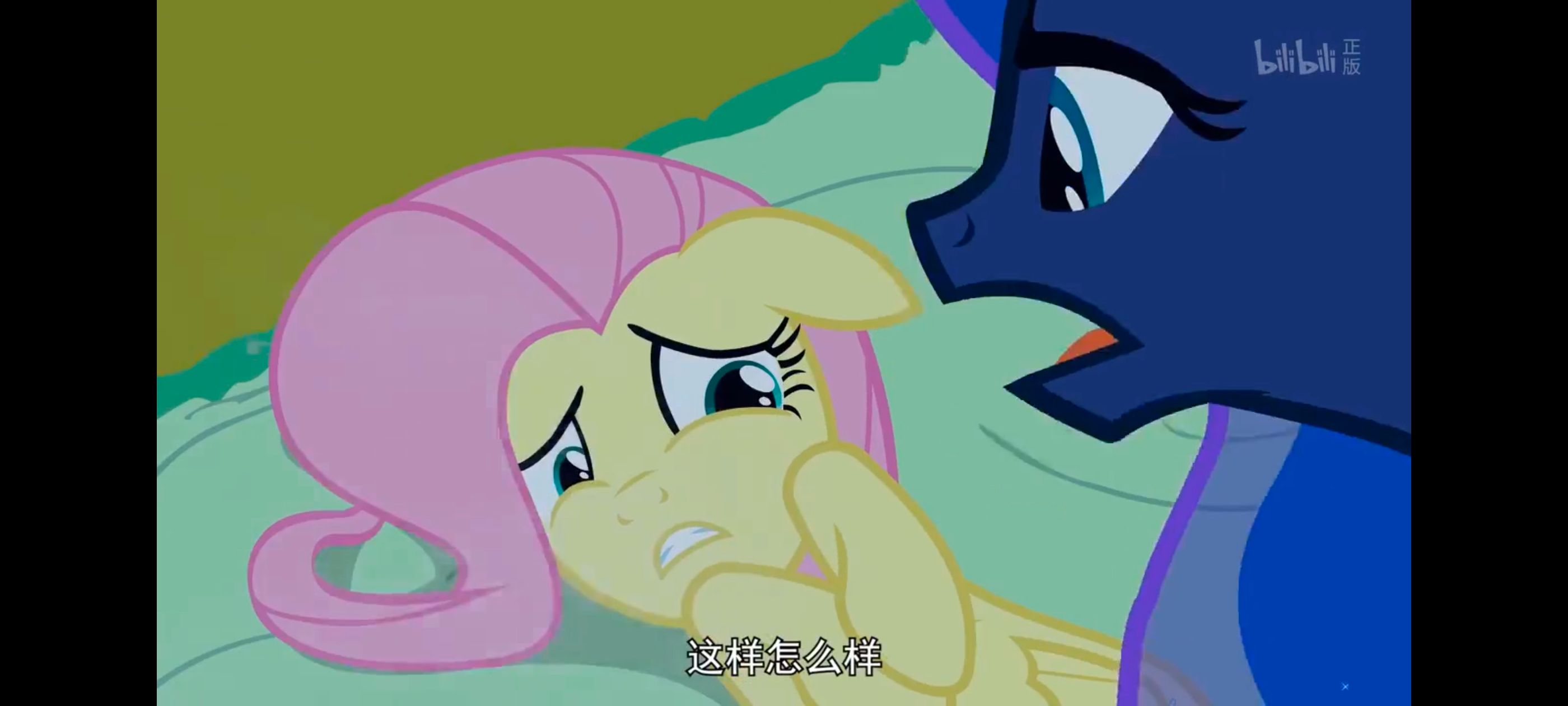 小马宝莉,小马宝莉友谊魔法,彩虹小马,我的小马驹,动漫,动画,番剧,ACG