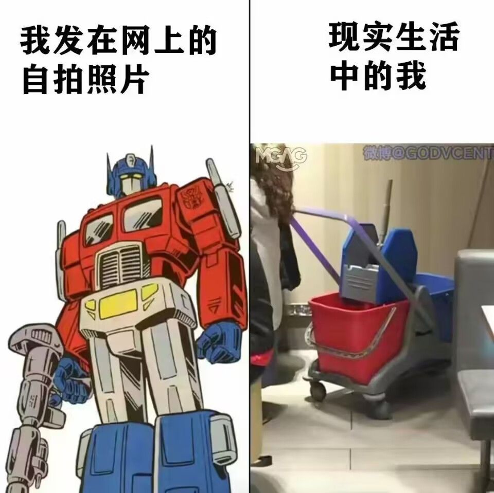 弔图,meme,涩图