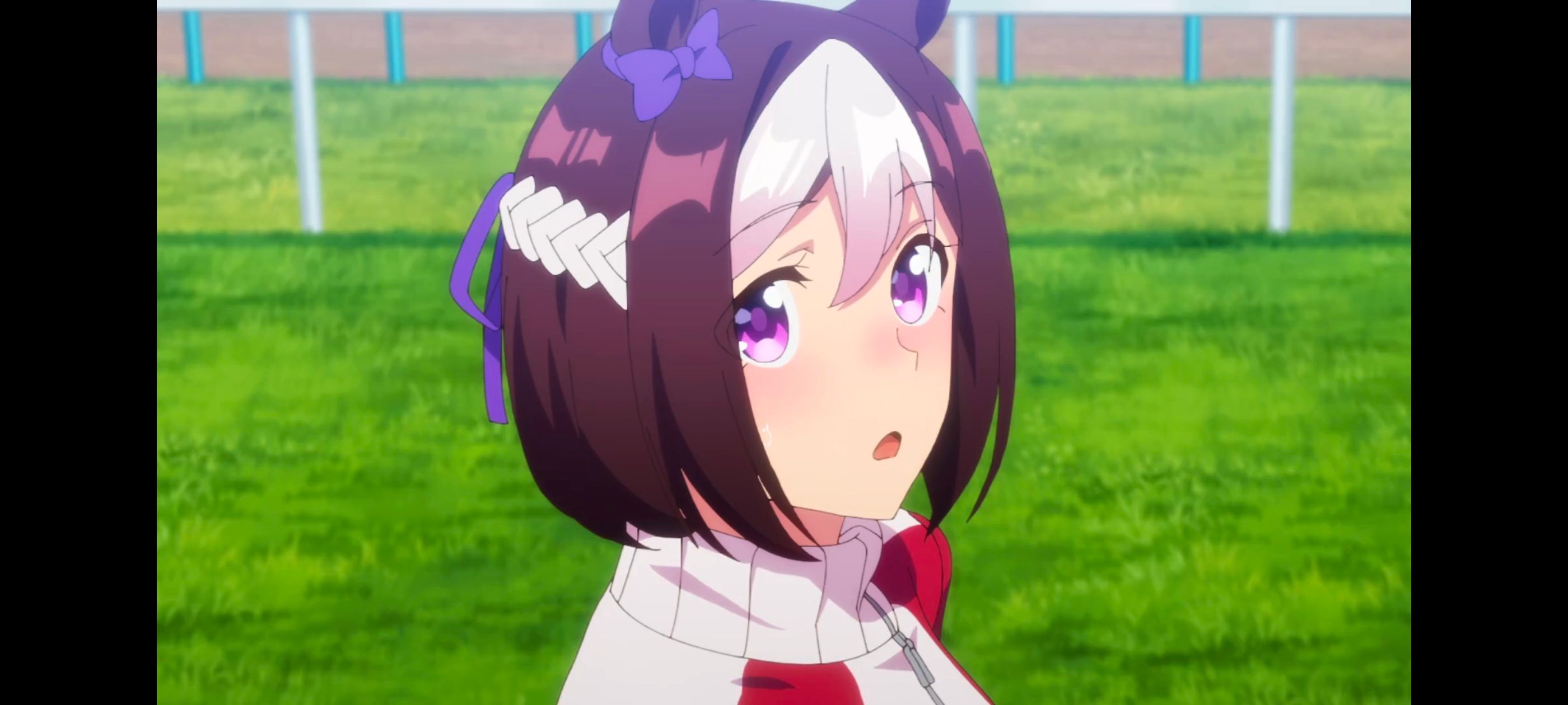 赛马娘,赛马娘PrettyDreby,动画,动漫,番剧,ACG