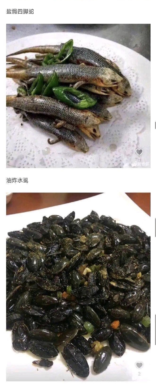 四菜一汤,饭菜,黑暗料理