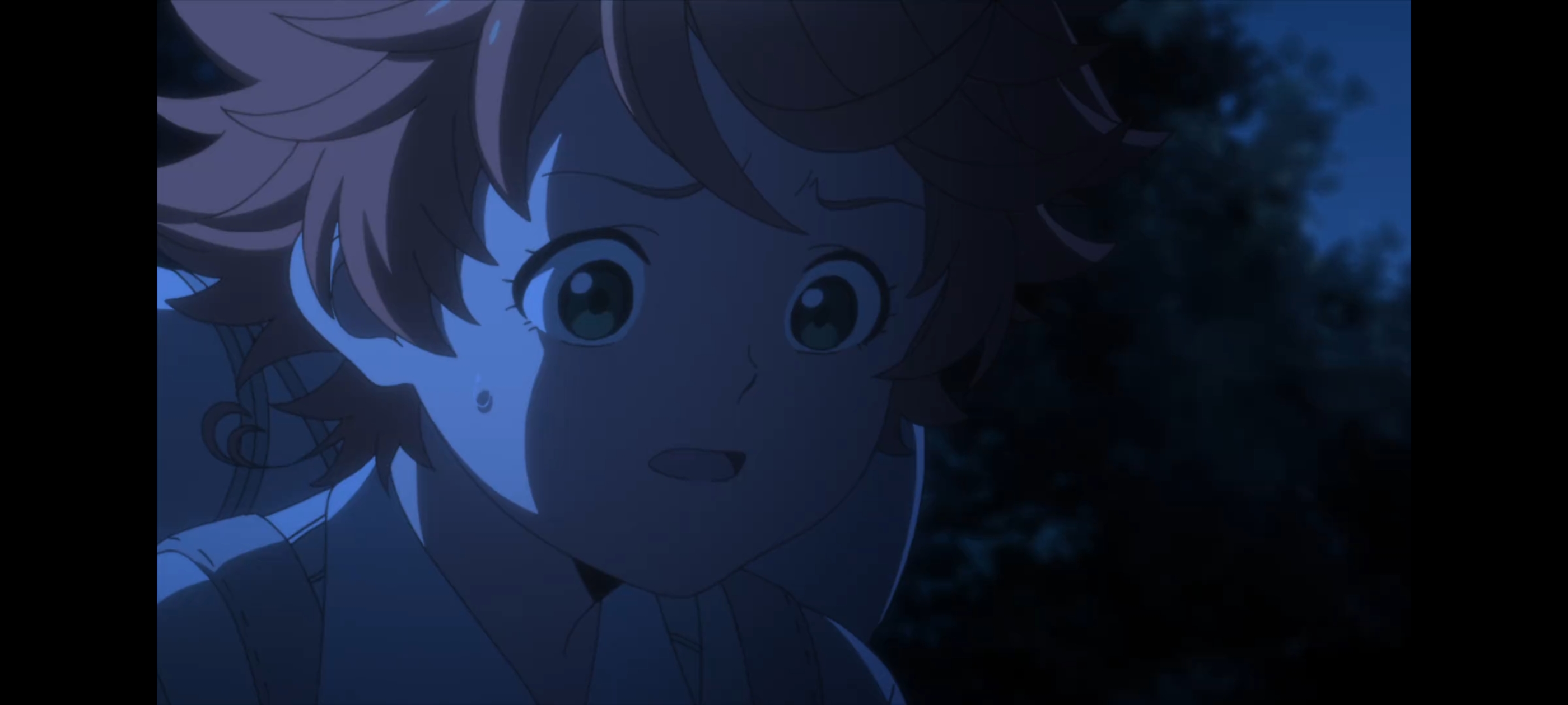 约定的梦幻岛,动画,动漫,番剧,二次元,ACG