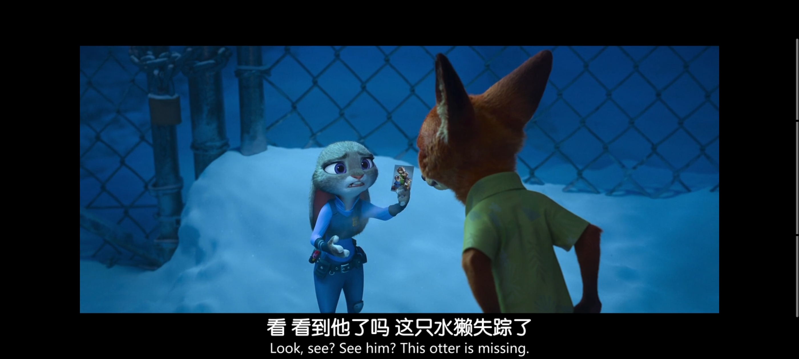 疯狂动物城,动画电影,动漫,动画,电影,二次元,ACG