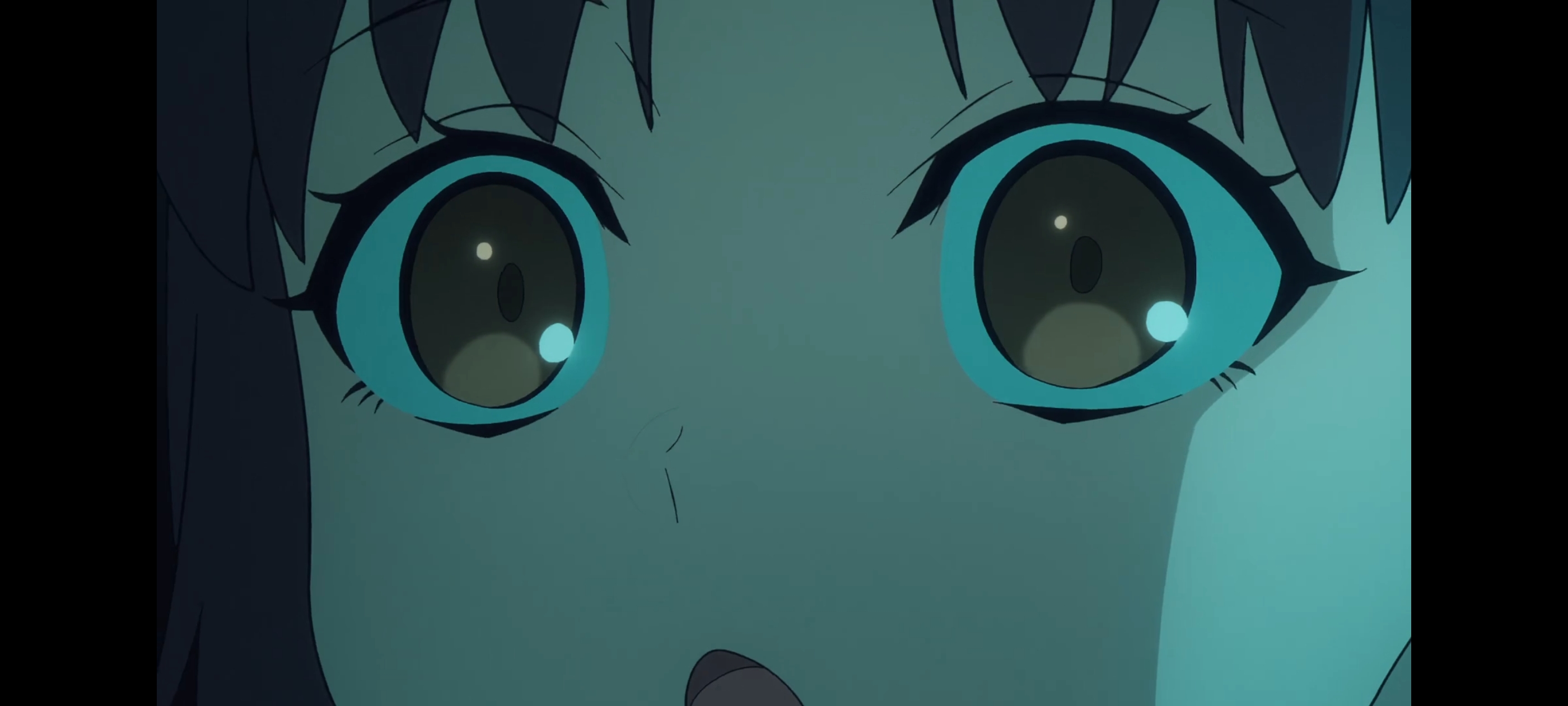 命运奇异赝品,FATE,FatestrangeFake,动漫,动画,番剧,ACG