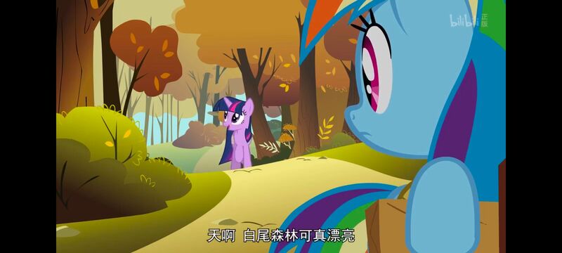 小马宝莉,小马宝莉友谊魔法,彩虹小马,我的小马驹,动画,动漫,番剧,ACG