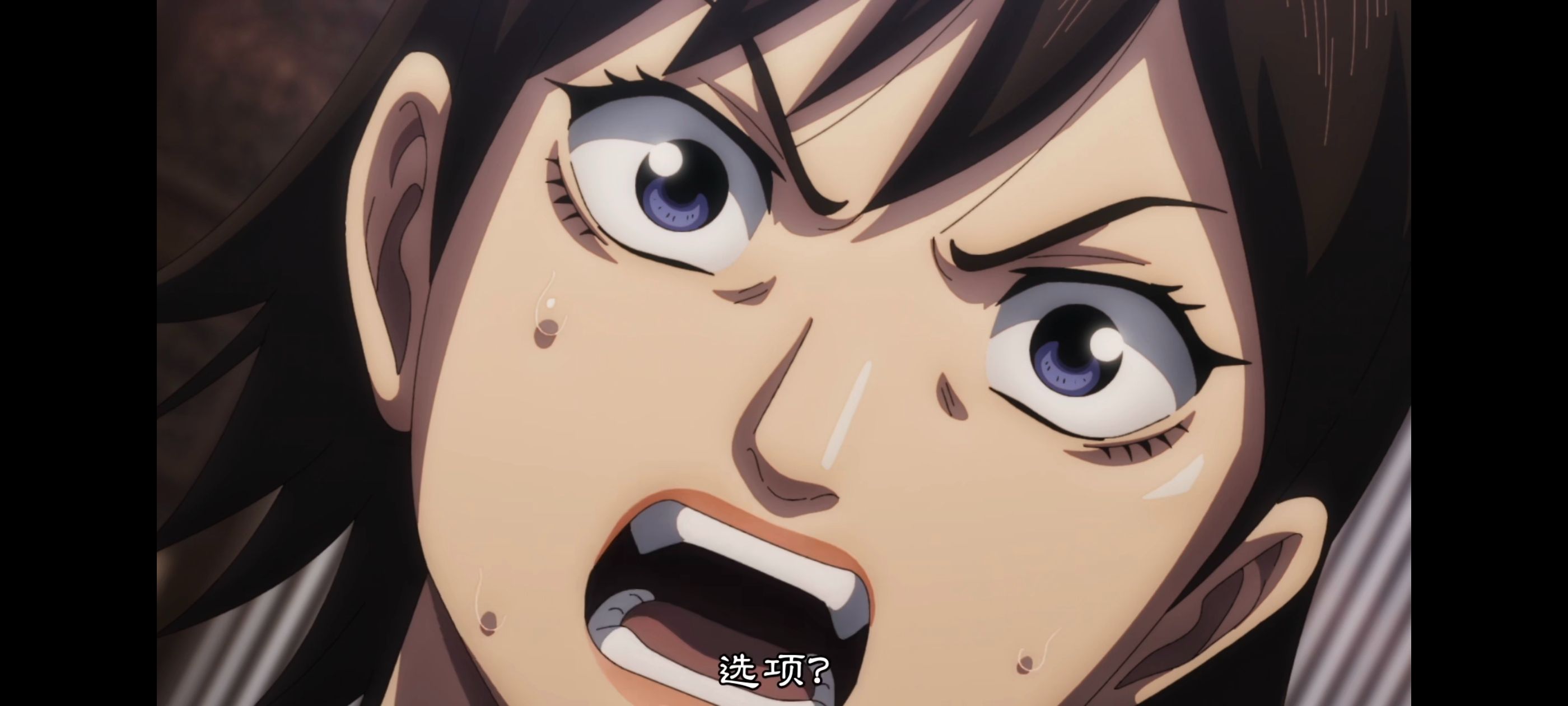 王者天下,动画,动漫,番剧,ACG