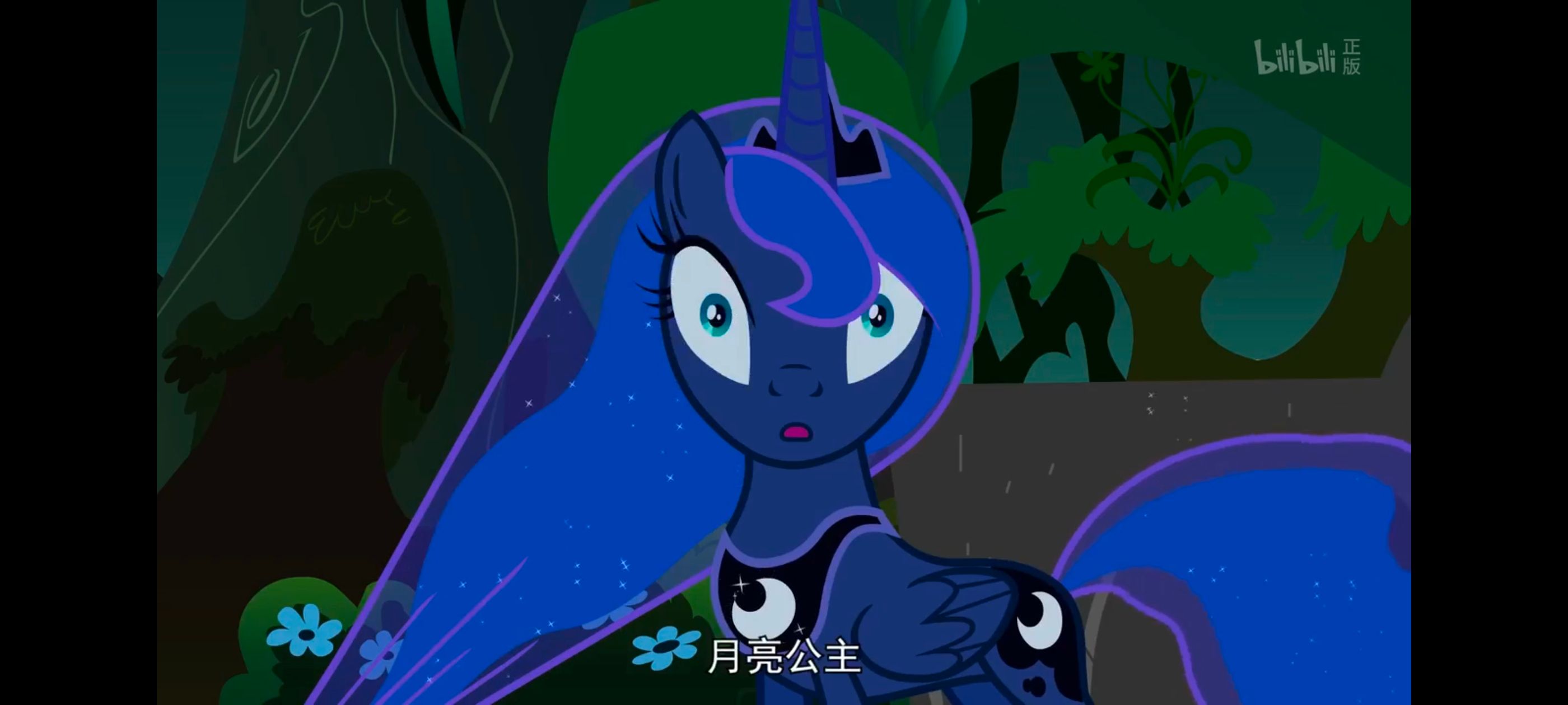 小马宝莉,小马宝莉友谊魔法,彩虹小马,我的小马驹,动漫,动画,番剧,ACG