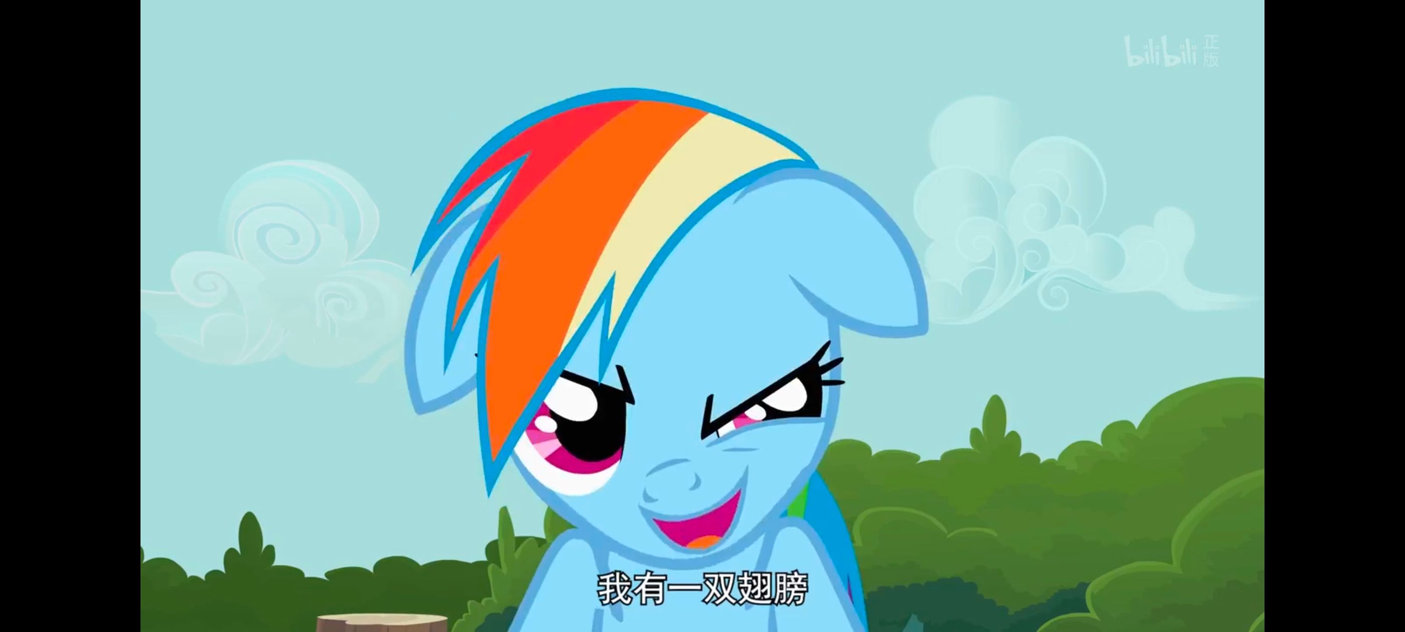 小马宝莉,彩虹小马,我的小马驹,动画,动漫,番剧,ACG