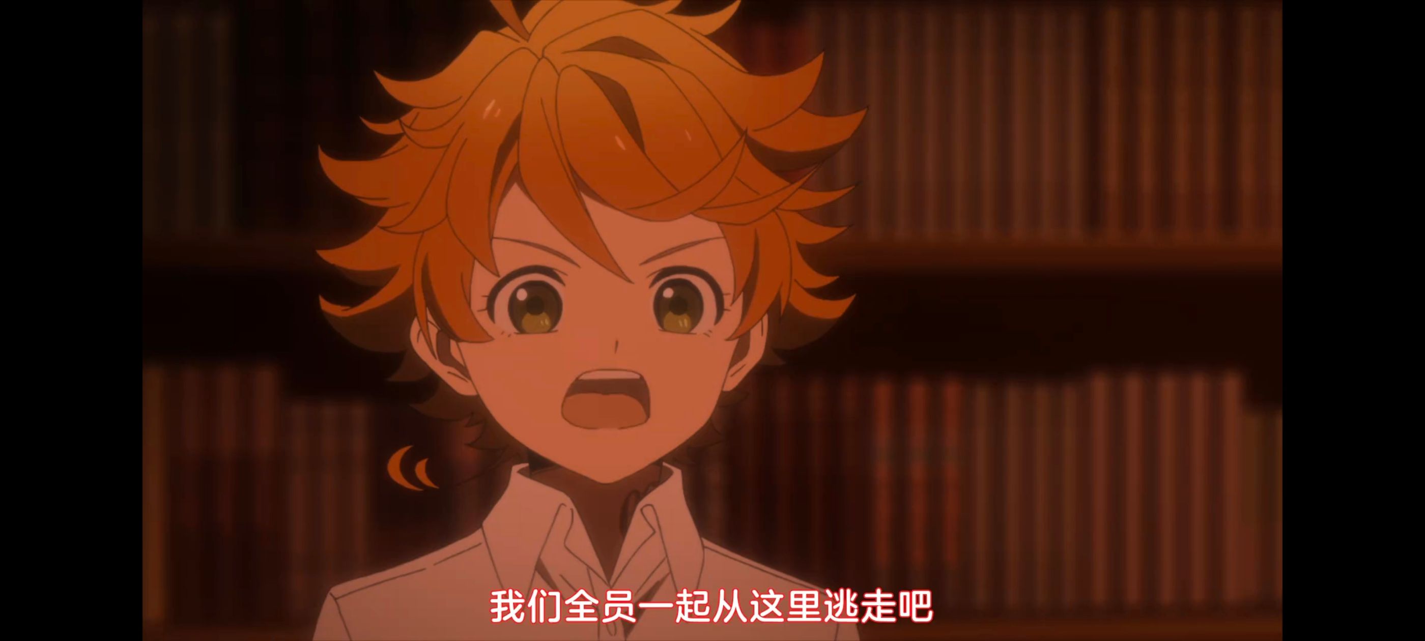 约定的梦幻岛,动画,动漫,番剧,ACG