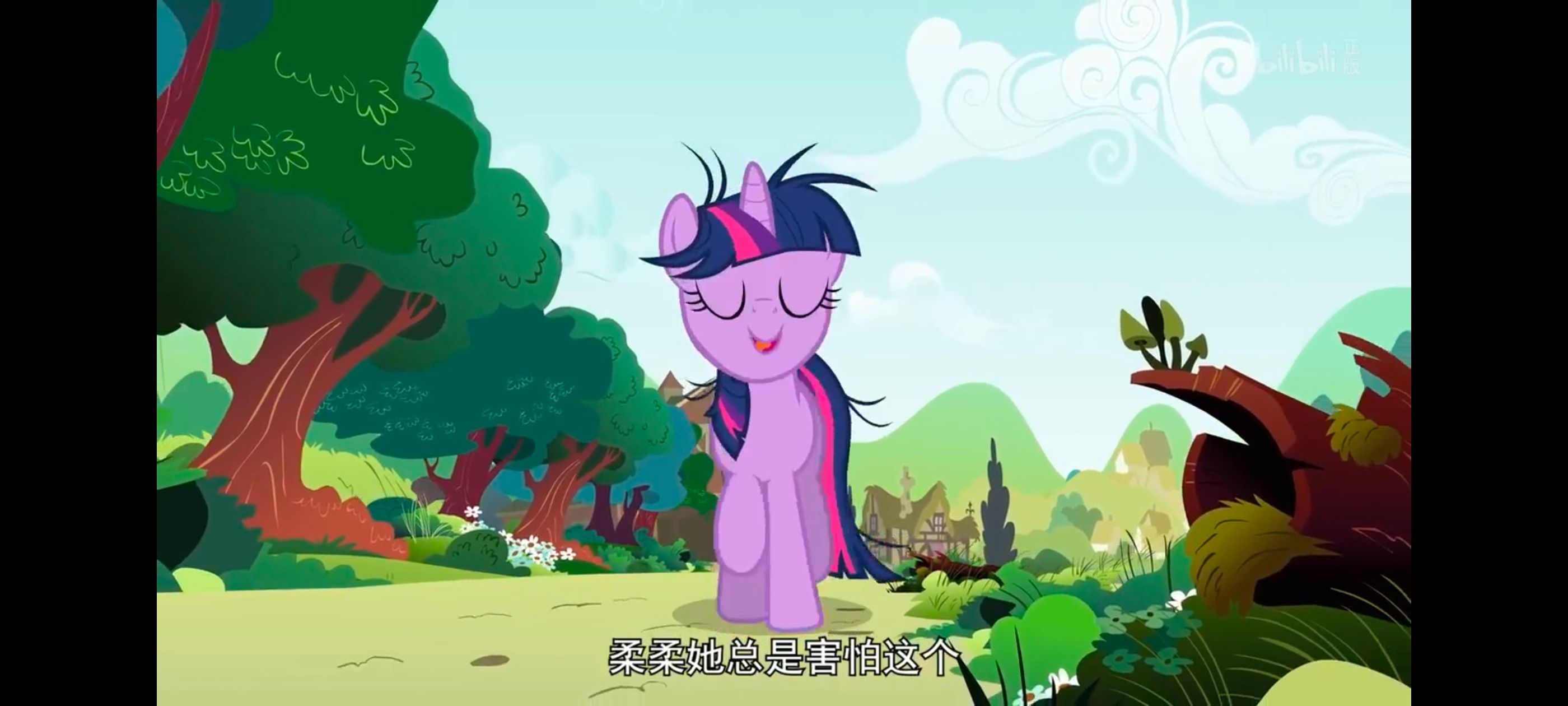 小马宝莉,小马宝莉友谊魔法,彩虹小马,我的小马驹,动画,动漫,番剧,ACG