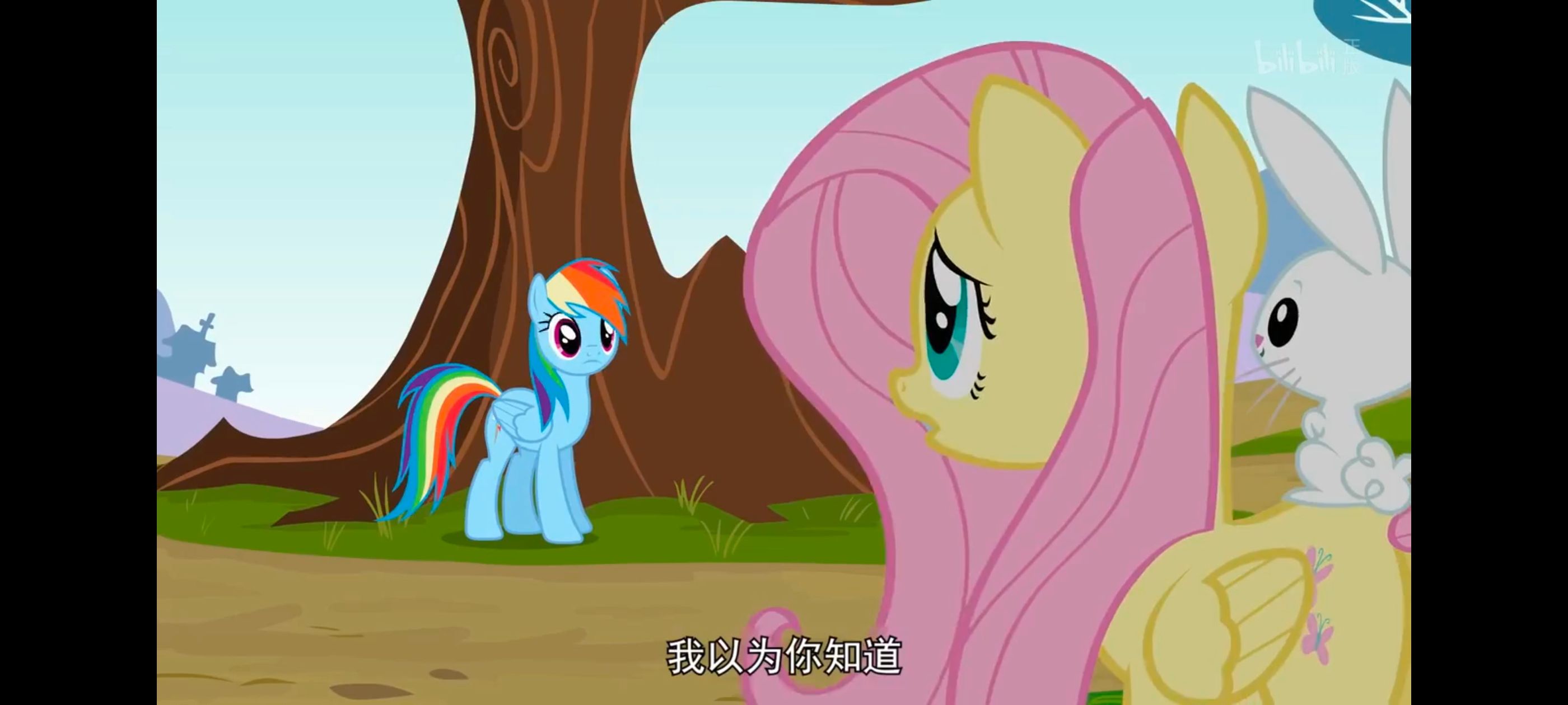 小马宝莉,彩虹小马,我的小马驹,动画,动漫,番剧,二次元,ACG