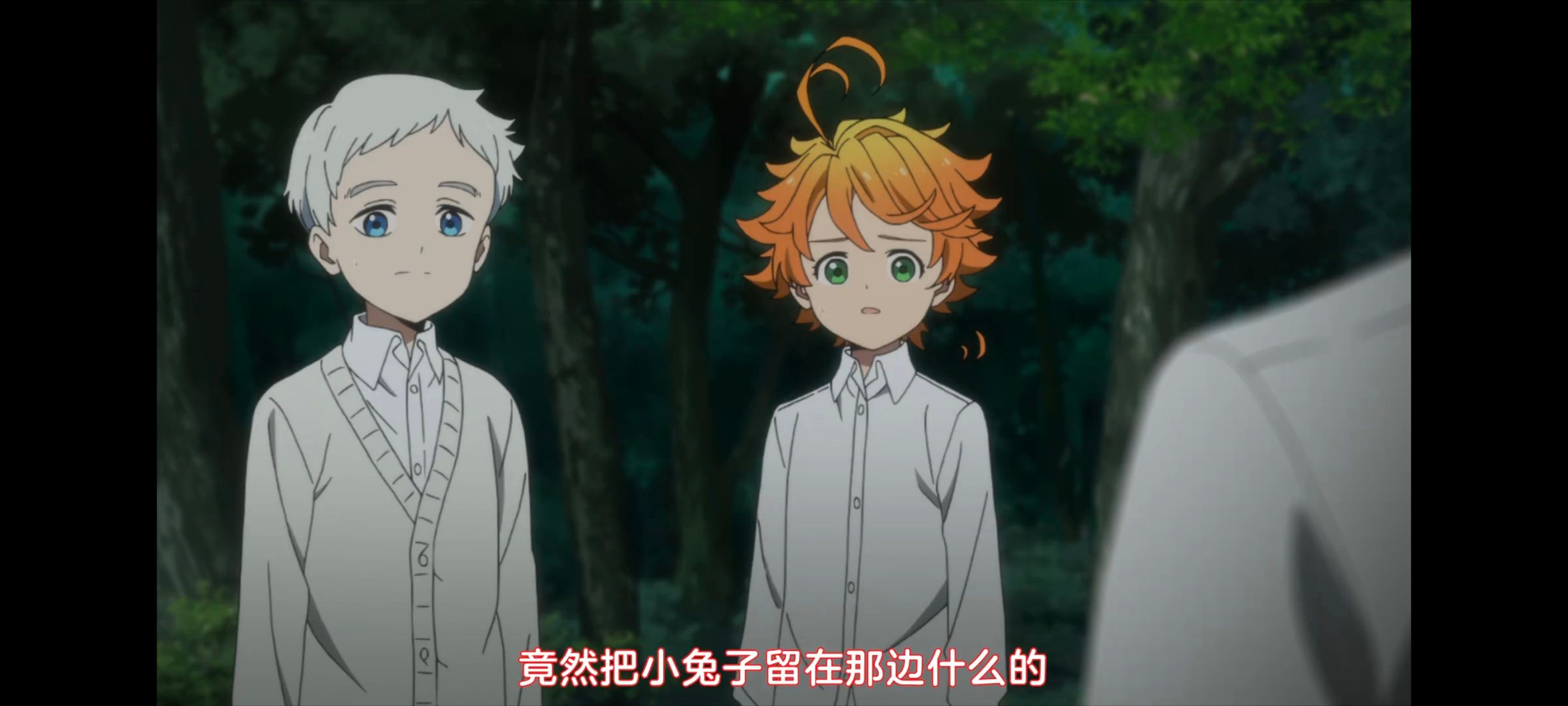 约定的梦幻岛,动画,动漫,番剧,ACG