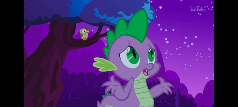 小马宝莉,彩虹小马,我的小马驹,动画,动漫,番剧,ACG,小马宝莉友谊魔法