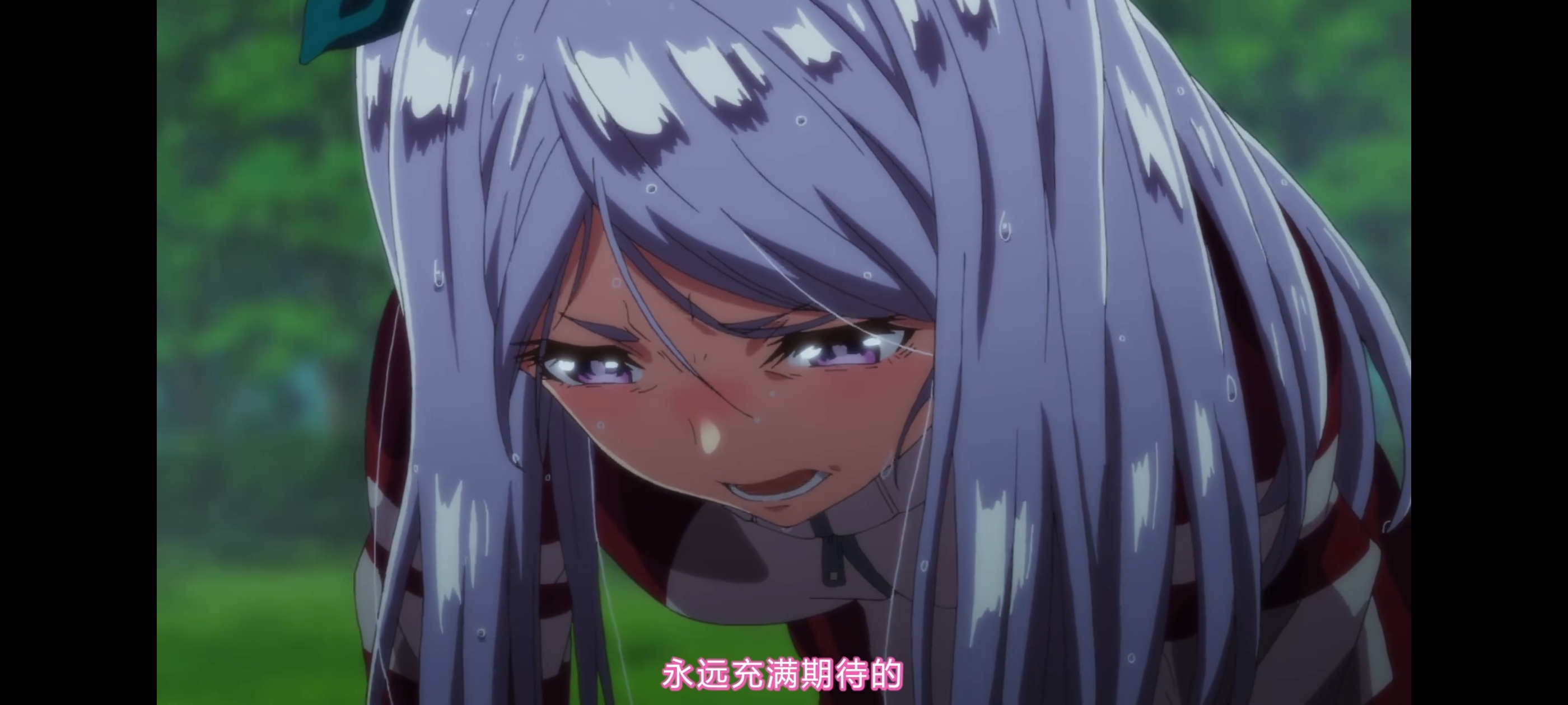 赛马娘,赛马娘第二季,赛马娘PrettyDerby,动画,动漫,番剧,二次元,ACG