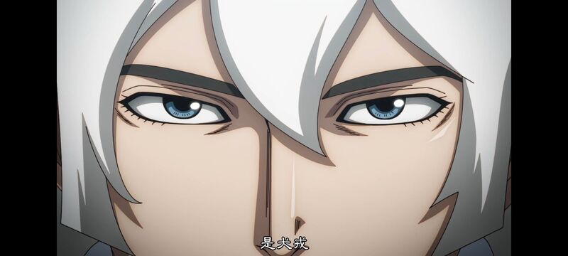 王者天下,动画,动漫,番剧,ACG